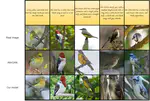 SemGAN: Text to Image Synthesis from Text Semantics using Attentional Generative Adversarial Networks